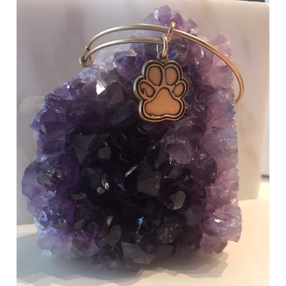 Alex and Ani gold paw print bracelet